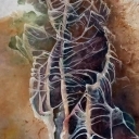 W ciemnym lesie W ciemnym lesie