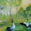 Tańczące żurawie Tańczące żurawie