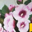 kwiat hibiskusa kwiat hibiskusa