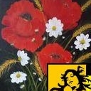 Kwiaty polne Kwiaty polne