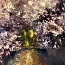 Rustykalne bzy Rustykalne bzy