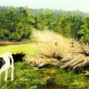 Nadwarciańskie łąki Nadwarciańskie łąki