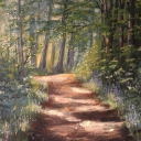 Droga w lesie Droga w lesie