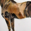 Koń pociągowy Koń pociągowy