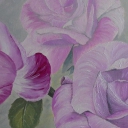 Pink roses Pink roses