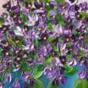 Fijołki z muszelką