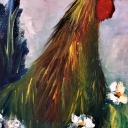 Kogut i narcyze Kogut i narcyze