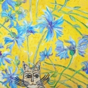 Biały kot na rżysku Biały kot na rżysku