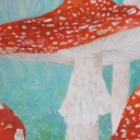 Muchomory - królestwo grzybów Muchomory - królestwo grzybów