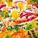 PIRUETY DELFINOW PIRUETY DELFINOW