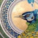 Paw w złotej mandali Paw w złotej mandali