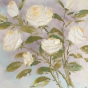 Różyczki Różyczki