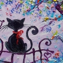 Koci Świat Koci Świat