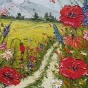 Polne Maki Polne Maki