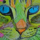 Niebieskooki Niebieskooki