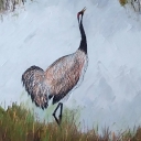 Nawoływanie Nawoływanie