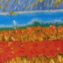 Oranżowe poletko Oranżowe poletko