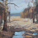 Las przedwiosnie Las przedwiosnie