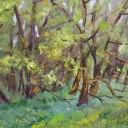 Na skraju lasu Na skraju lasu