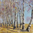 Brzozy na przedwiosniu Brzozy na przedwiosniu