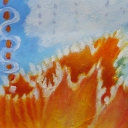 Mały format, duży kwiat Mały format, duży kwiat