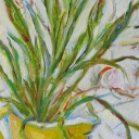 Wiotkość trawy Wiotkość trawy