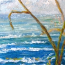 Morska trawa Morska trawa