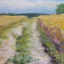 Lato,wieś,zboża Lato,wieś,zboża