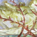 Kolce i struktury Kolce i struktury