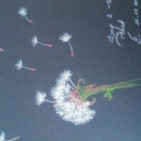 Dmuchawiec Dmuchawiec