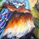 Błękitny ptak Czaruś Błękitny ptak Czaruś