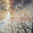 Bez tytułu Bez tytułu