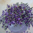 Fijołki 308 Fijołki 308