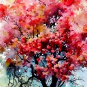 Samotne drzewo Samotne drzewo