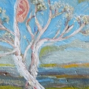 Natura słuchająca Natura słuchająca