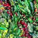 WSTĄZKI ZIELONYCH DRZEW WSTĄZKI ZIELONYCH DRZEW