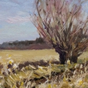 Przedwiośnie Przedwiośnie