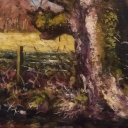 Plener w Kilmacolm Plener w Kilmacolm