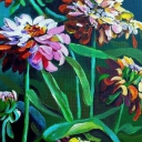 Kwiaty Cynie Kwiaty Cynie