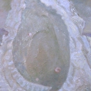 Nie wszystko trzeba rozumieć Nie wszystko trzeba rozumieć