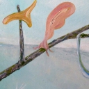 Cuda na kiju Cuda na kiju