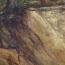 Piaski w Żołyni Piaski w Żołyni