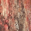 Różowy deszcz Różowy deszcz