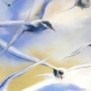 Ulotne . . . Ulotne . . .