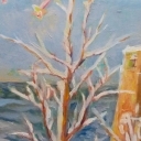 Spadająca gwiazda Spadająca gwiazda