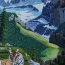 Tygrys na skale Tygrys na skale