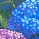 Hortensje 2025 Hortensje 2025