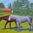 Łąka w Worytach Łąka w Worytach