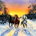 Wolne rumaki, niebiański wiatr