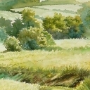 Popołudniowe łąki Popołudniowe łąki